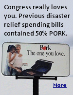 Are these spending bills an efficient, well-coordinated and urgent response to a disaster? Hardly.